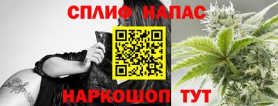 a pvp Славгород