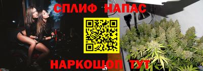 jwh Сланцы