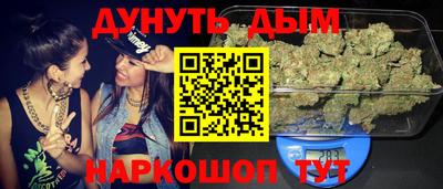 a pvp Славгород