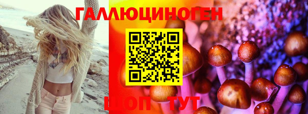 Галлюциногенные грибы Psilocybine cubensis  Галлюциногенные грибы Cubensis  Вход с VPN  Новый Уренгой 