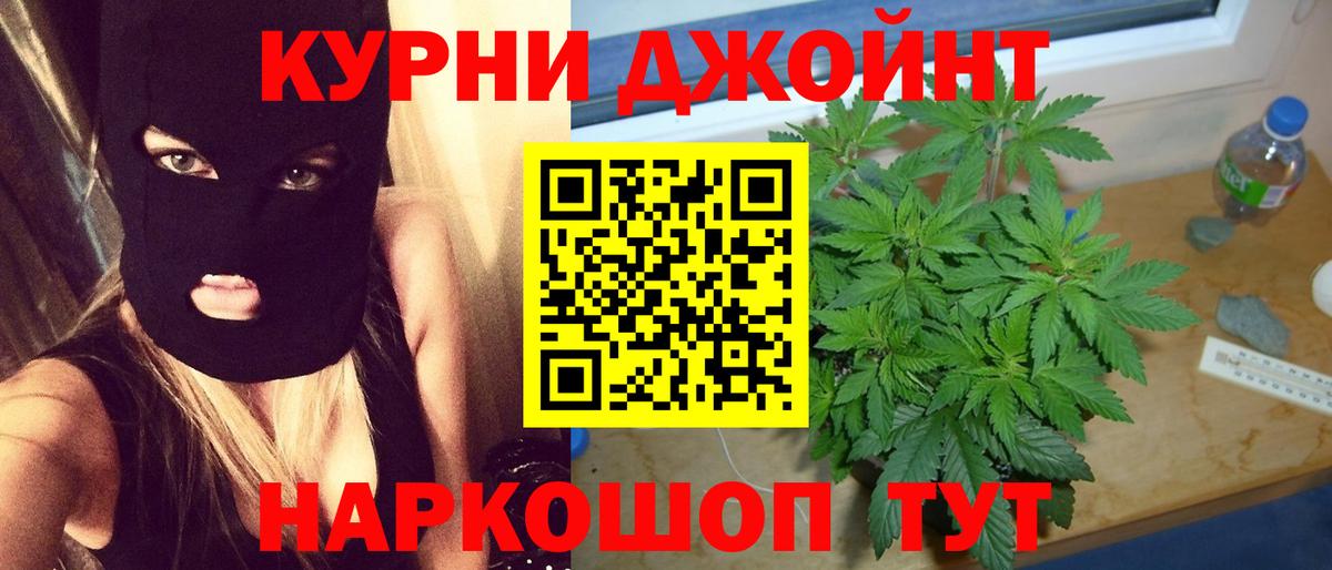 Канабис сатива  Бошки марихуана планчик  Новый Уренгой  Бошки марихуана VHQ  Вход с VPN 