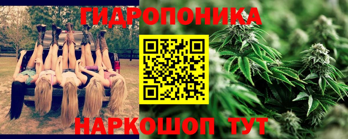 МАРИХУАНА VHQ Новый Уренгой